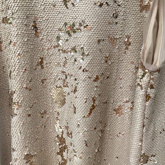 Rachel Roy Women’s Party Sequins Sleeveless Pockets Gold Beige Dress Size L - Picture 14 of 15
